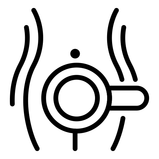 GINECOLOGIA